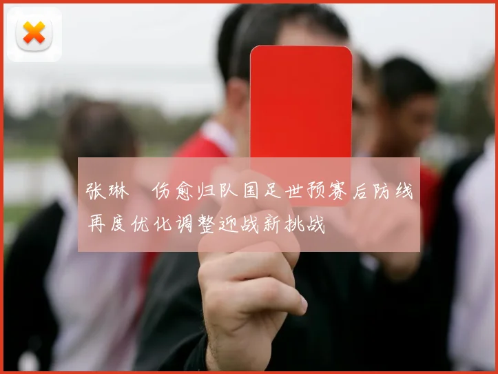 张琳芃伤愈归队国足世预赛后防线再度优化调整迎战新挑战
