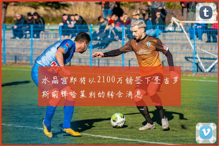 水晶宫即将以2100万镑签下圣吉罗斯前锋哈莱利的转会消息